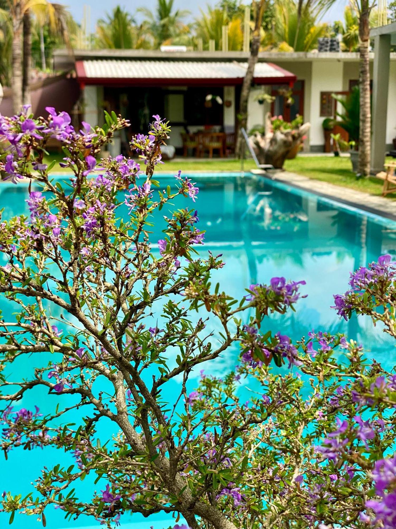 Sri Palms Bed and Breakfast Kosgoda Buitenkant foto